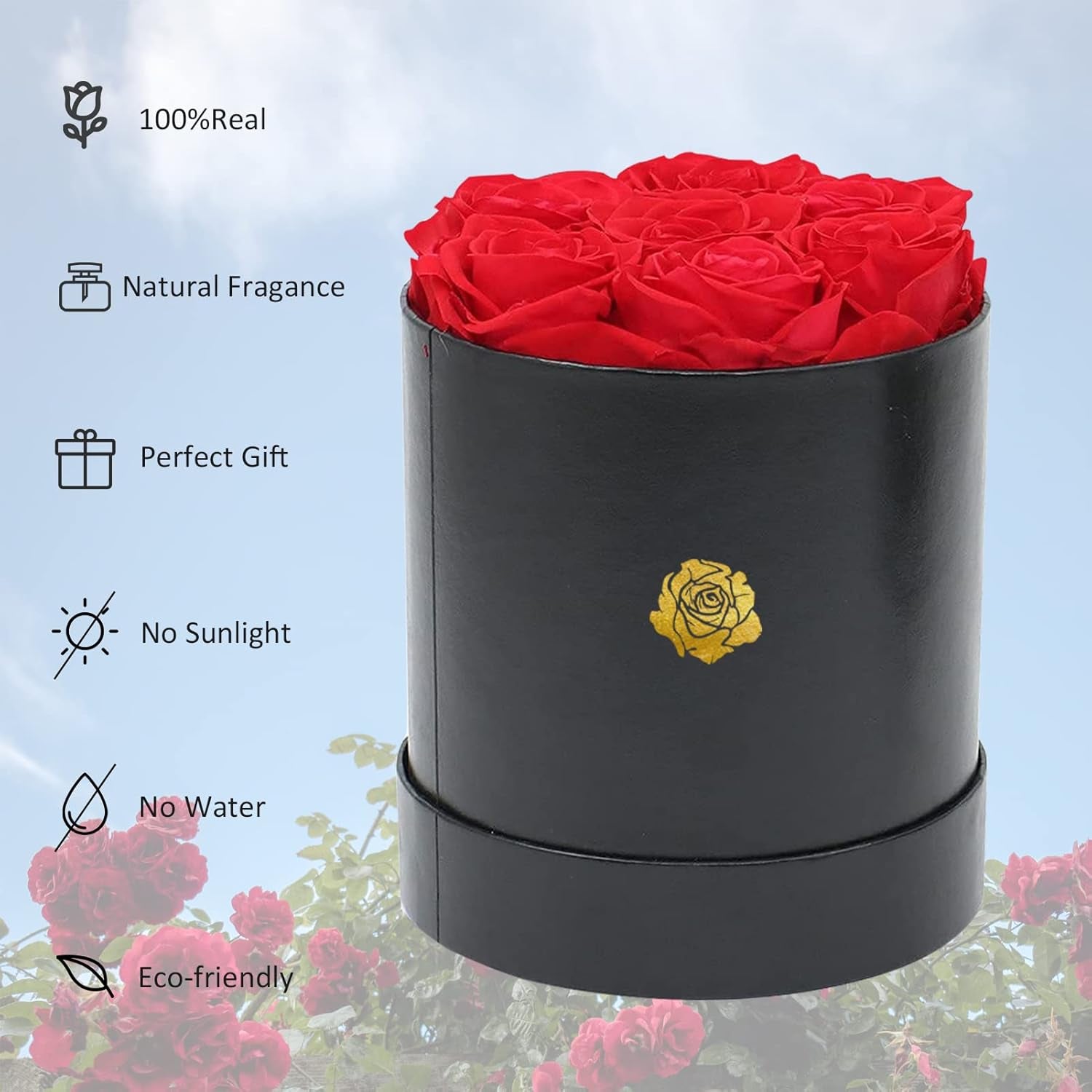 Valentines Day Gifts for Her, Roses Box, Real Roses That Last a Year and More, Preserved Red Eternal Roses, Fresh Forever Roses, Best Gifts for Women (1)